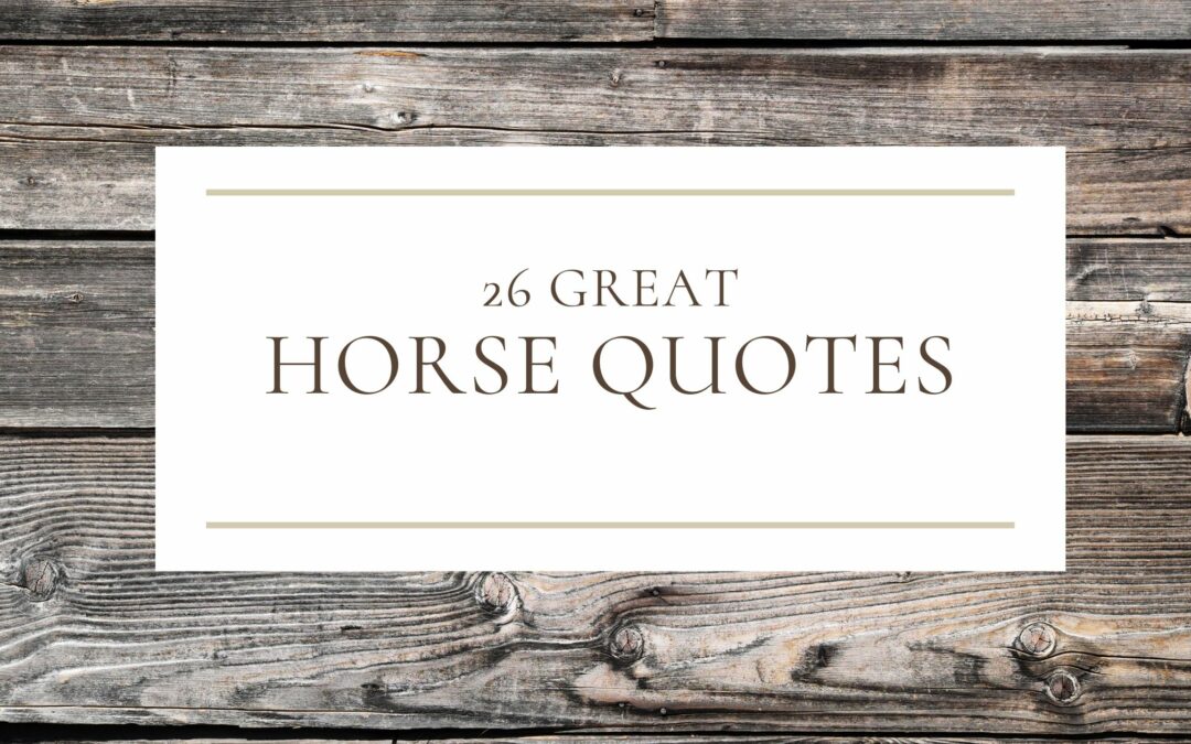 26 Great Horse Quotes Cover Image