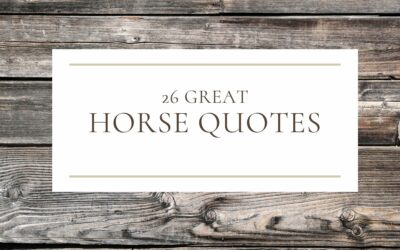 26 Great Horse Quotes