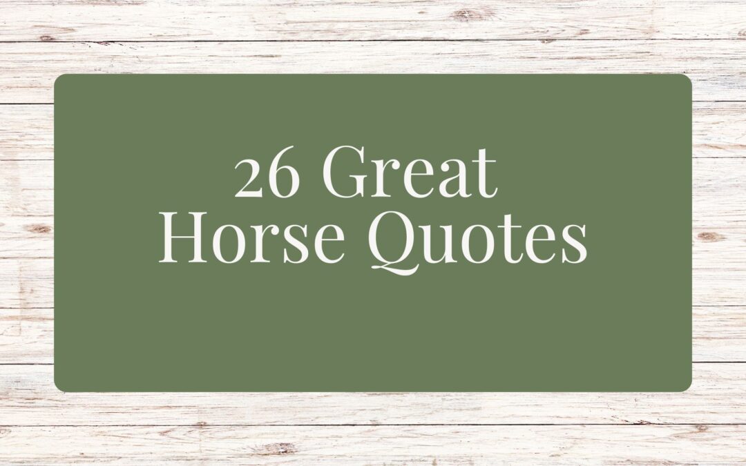 26 Great Horse Quotes