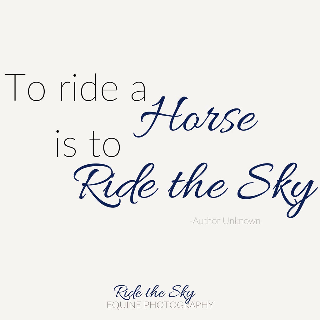 26 Great Horse Quotes Ride the Sky Equine Photography