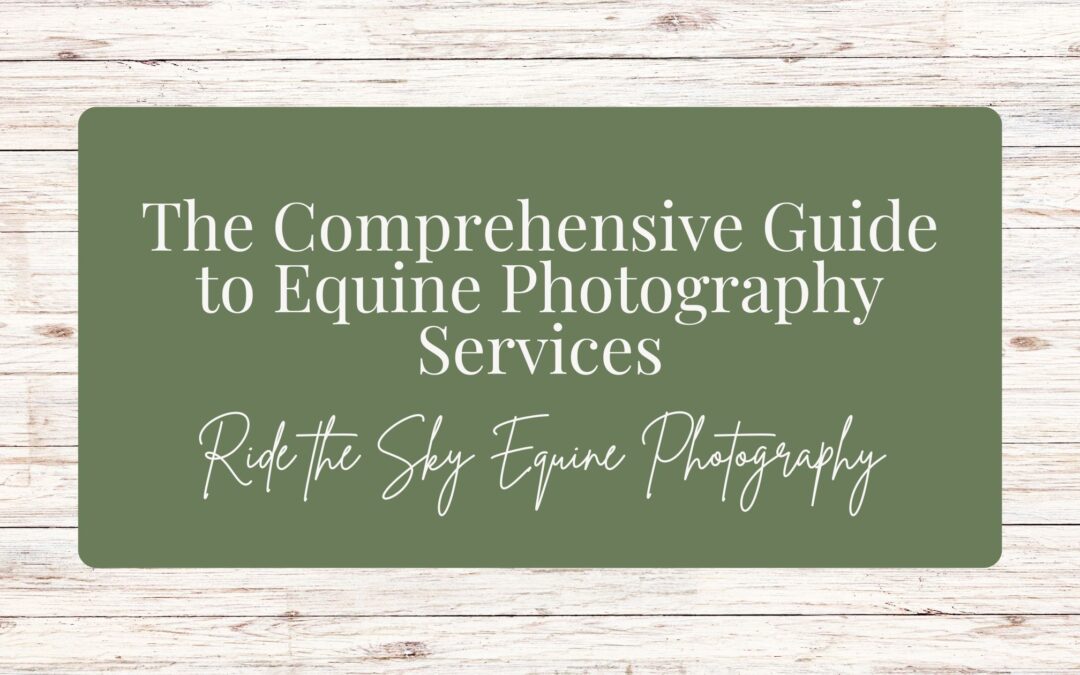 The Comprehensive Guide to Equine Photography Services