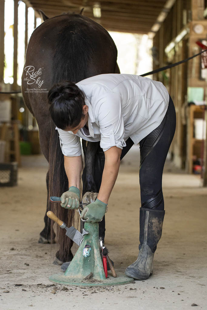 Heavenly Hooves Barefoot Trimmer at work giving horse hoof a trim photographed by Ride the Sky Equine Photography in Ooltewah, Tennessee