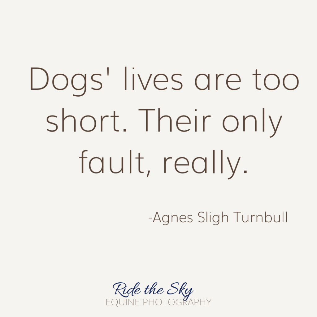 Agnes Sligh Turnbull Dog Quote