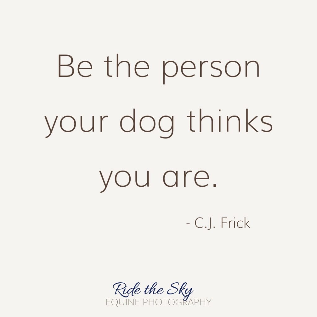 C.J. Frick Dog Quote