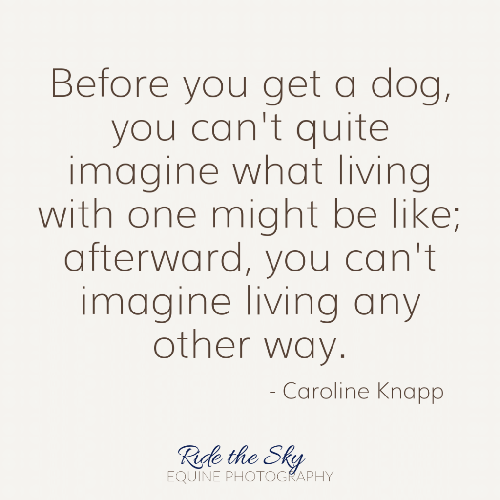 Caroline Knapp Dog quote