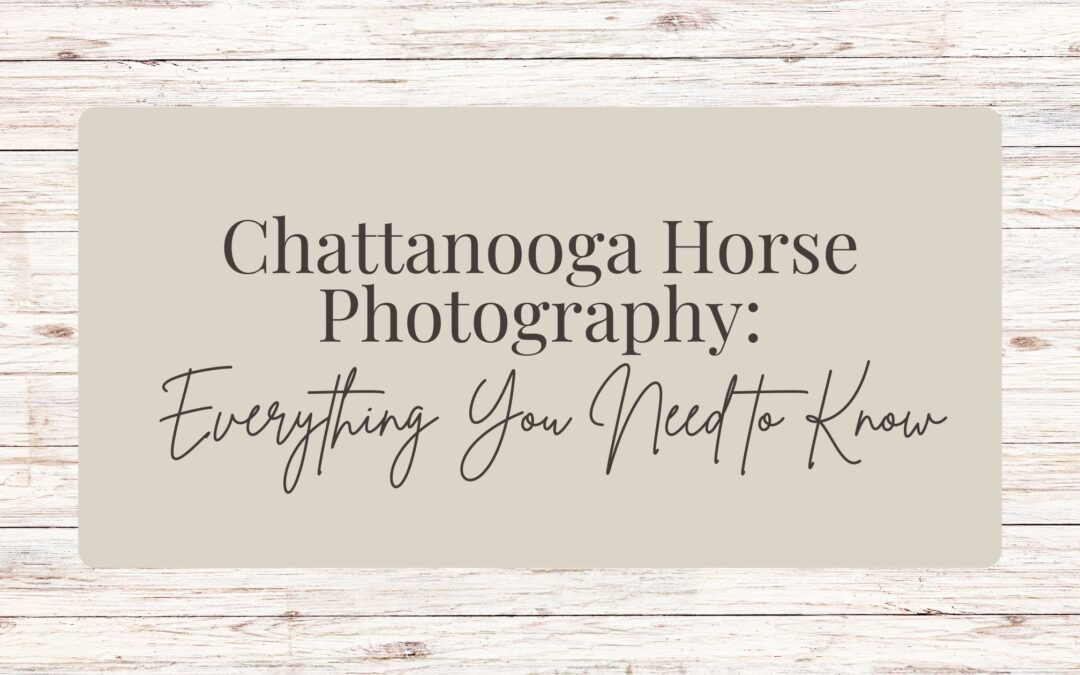 Chattanooga Horse Photography: Everything You Need to Know