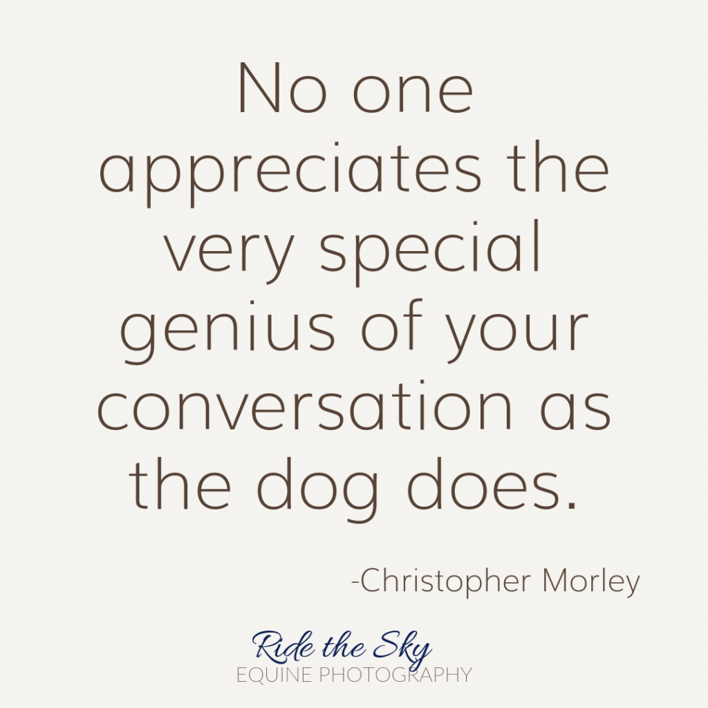 Christopher Morley Canine Quote