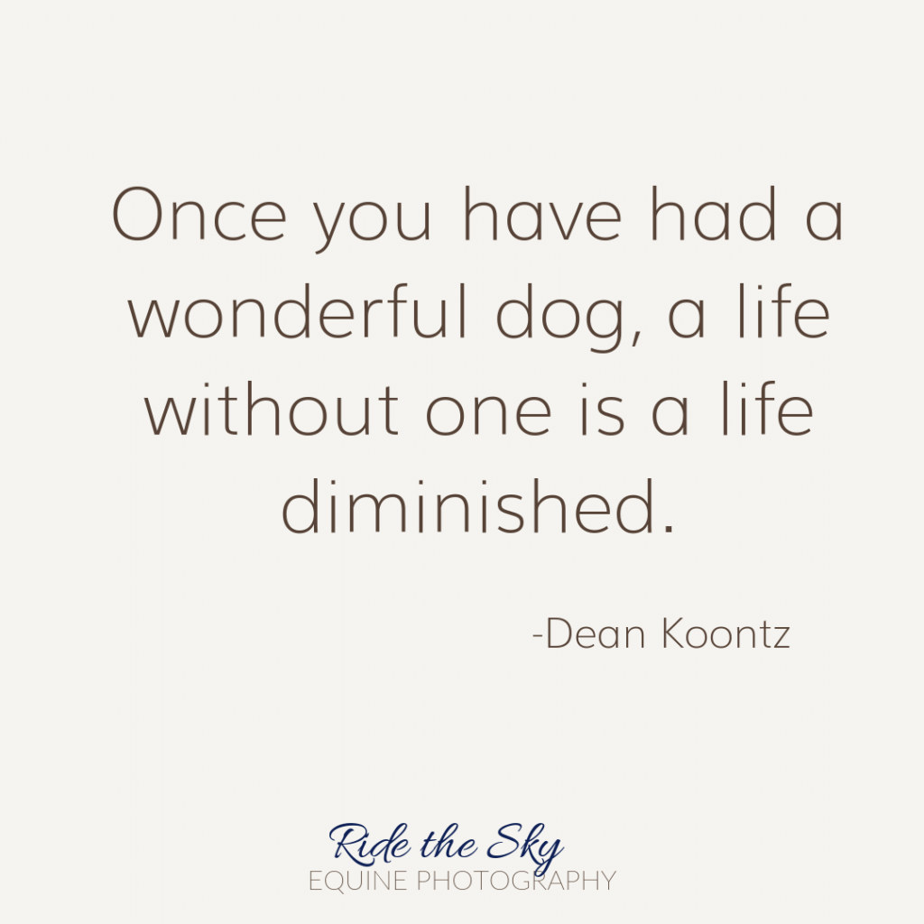Dean Koontz Dog Quote