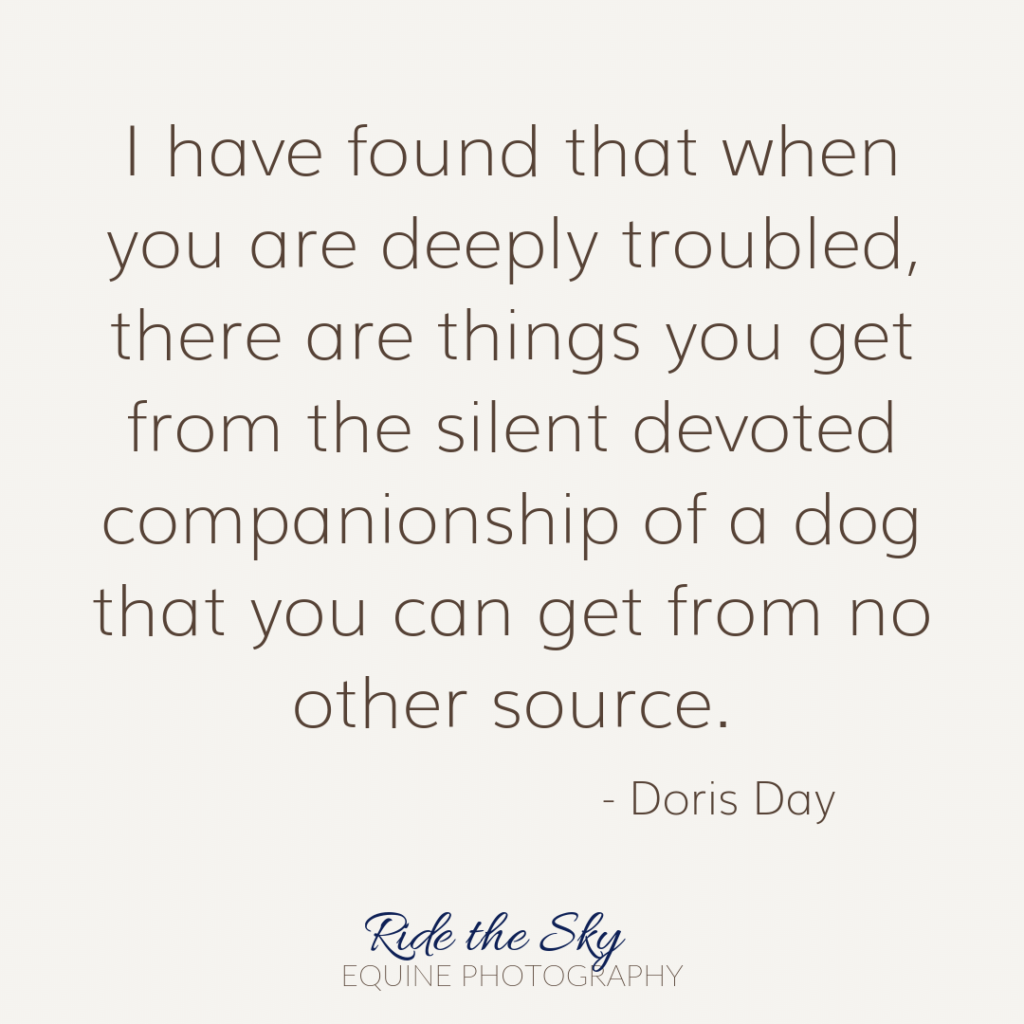 Doris Day Dog Quote