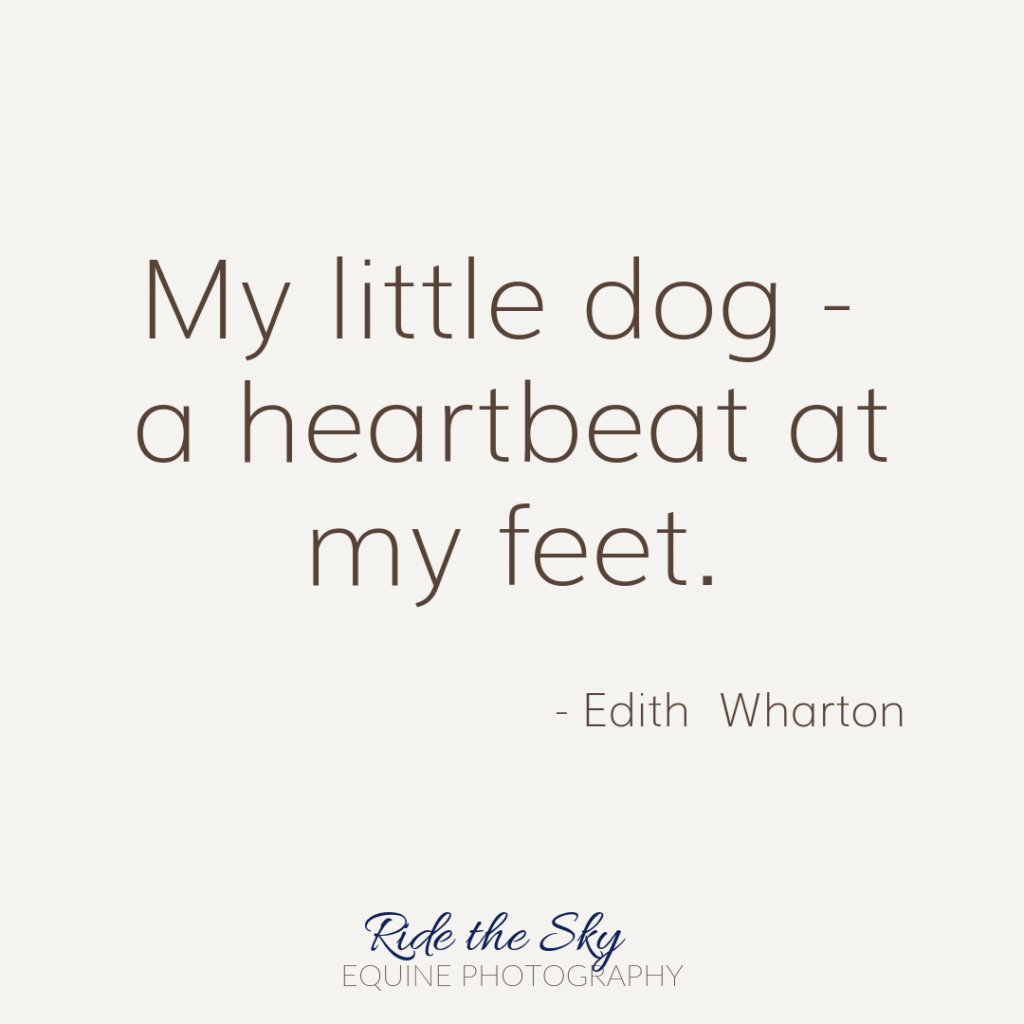 Edith Wharton Dog Quote