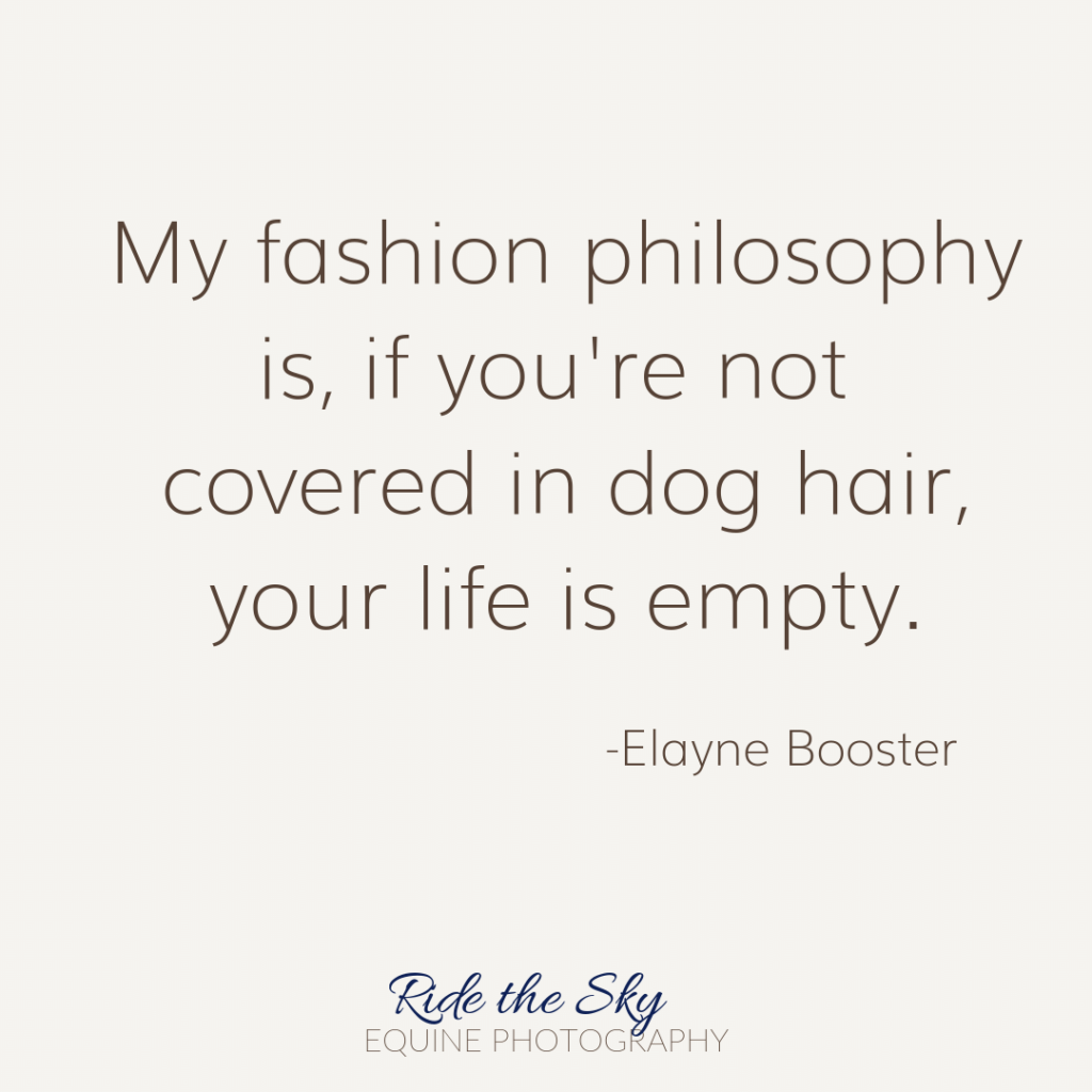 Elayne Booster Dog Quote