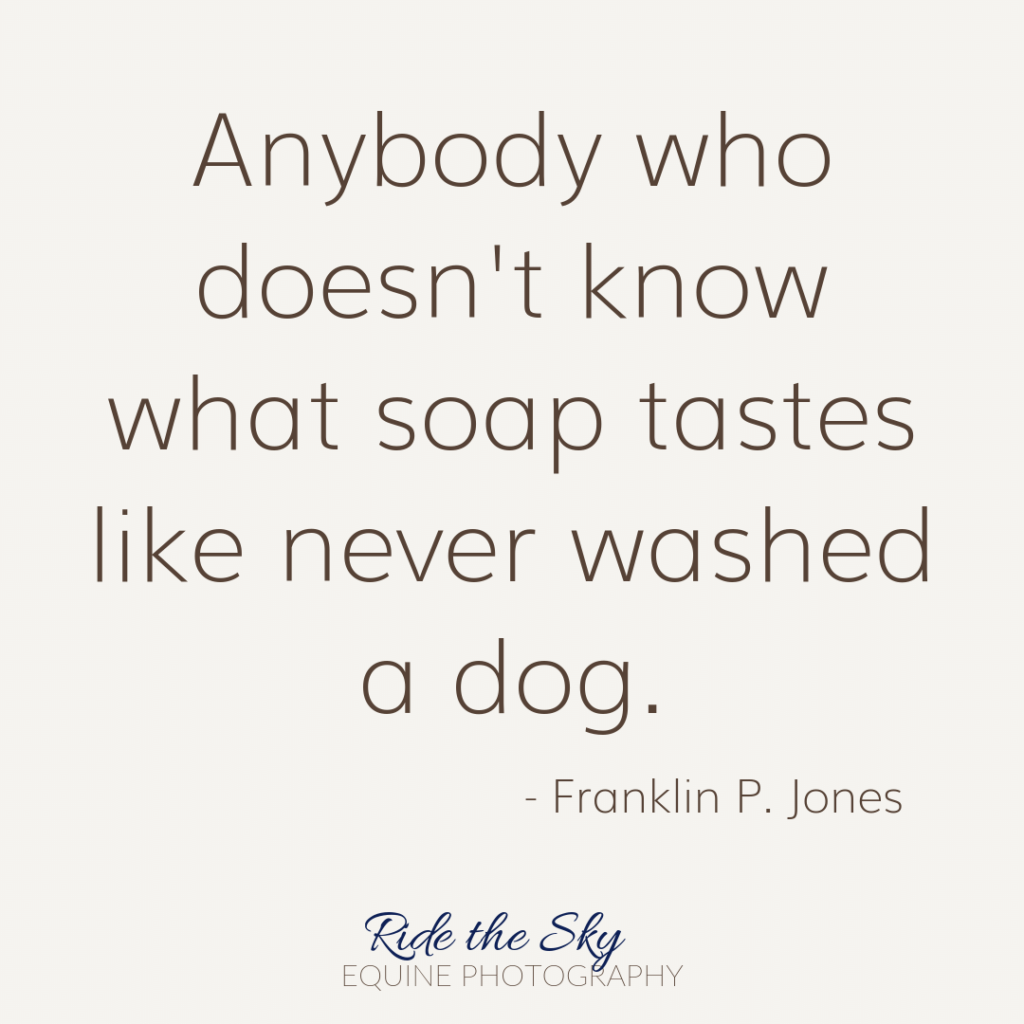 Franklin Jones Dog Quote