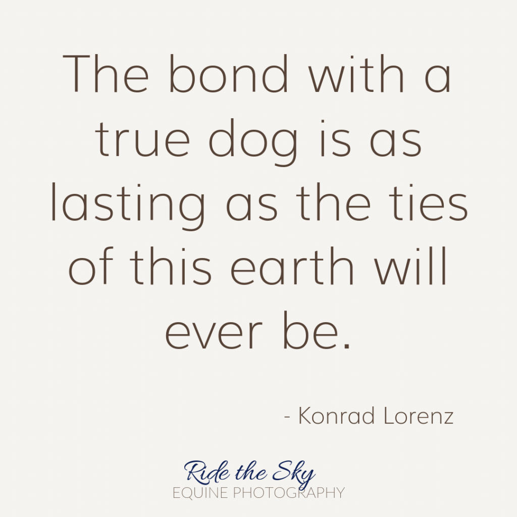Konrad Lorenz Dog Quote