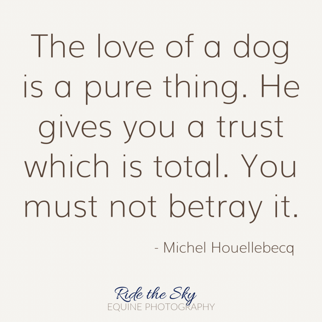 Michel Houellebecq Dog Quote