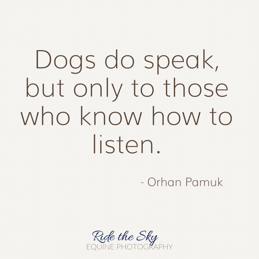 Orhan Pamuk Dog Quote