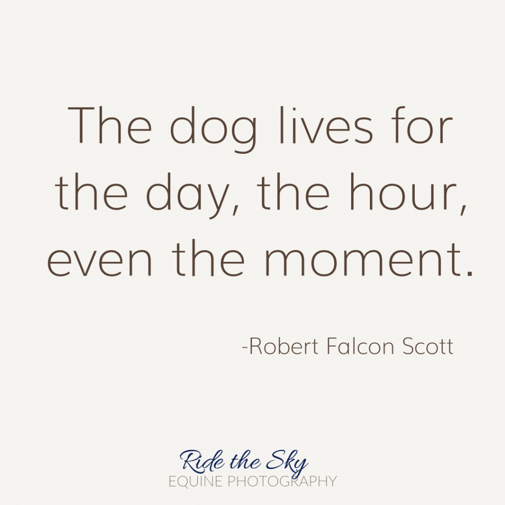 Robert Falcon Scott Dog Quote