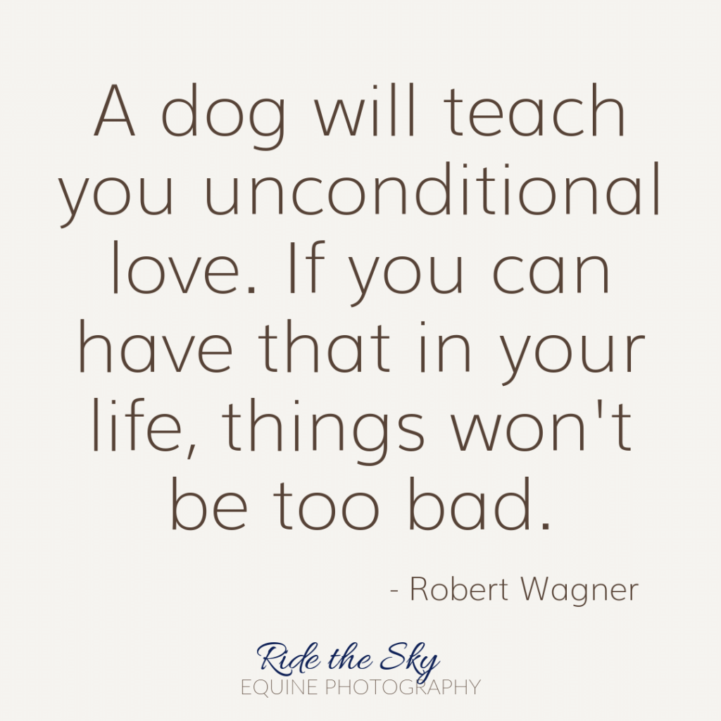 Robert Wagner Dog Quote