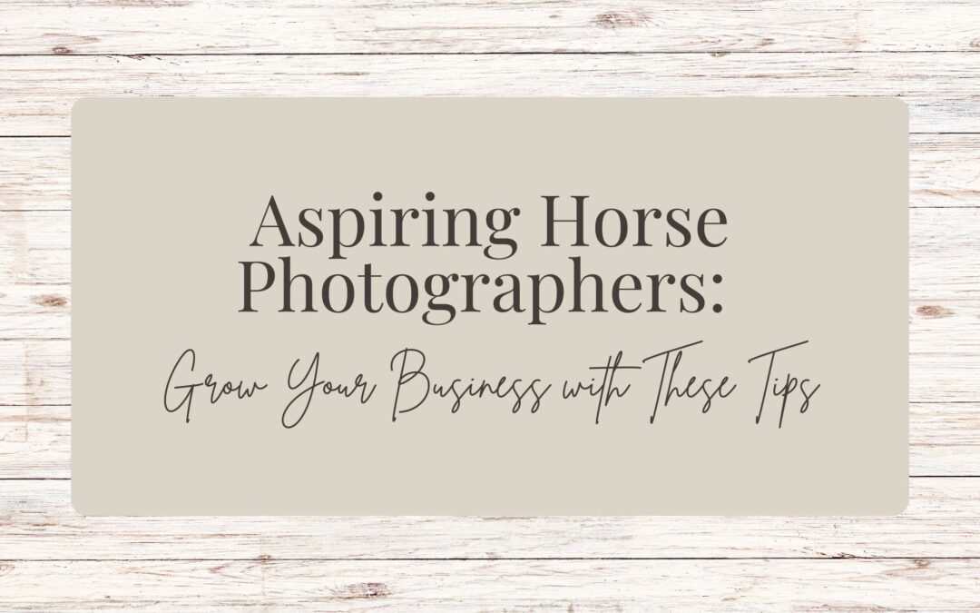 Aspiring Horse Photographers: Grow Your Business with These Tips