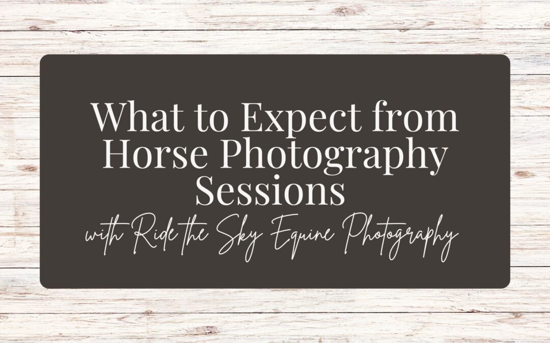 What to Expect from Horse Photography Sessions with Ride the Sky