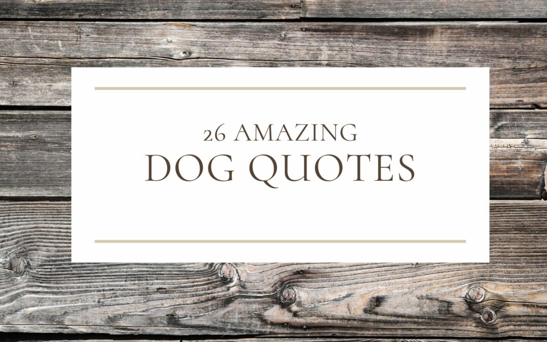 26 Amazing Dog Quotes Cover Image