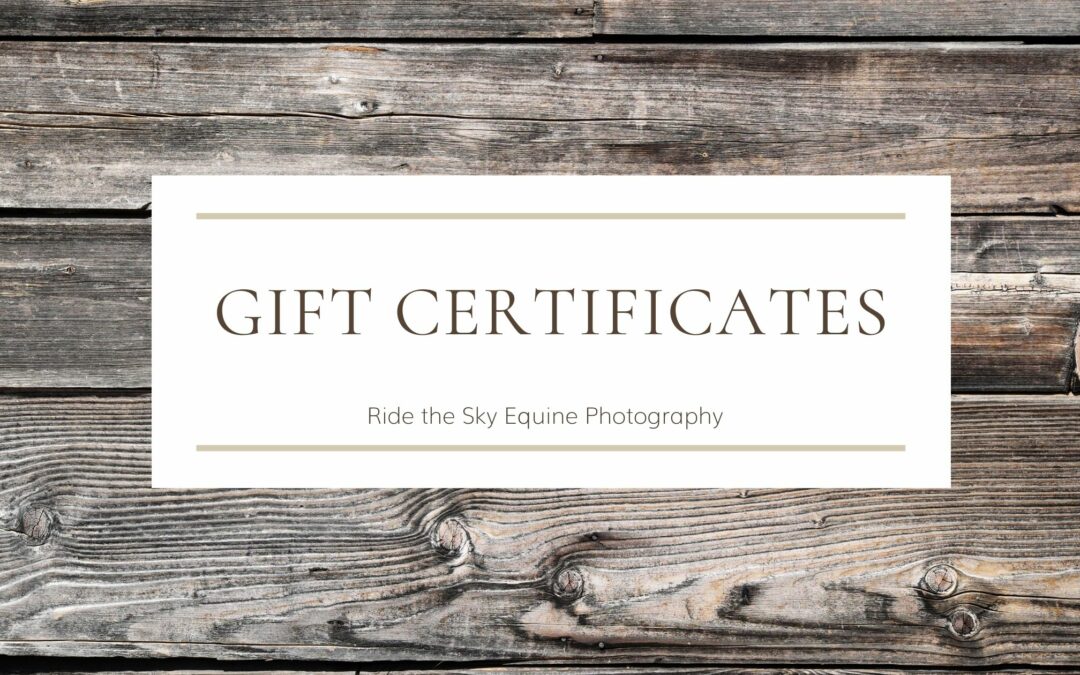 Chattanooga Horse Photography: Gift Certificates
