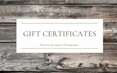 Chattanooga Horse Photography: Gift Certificates