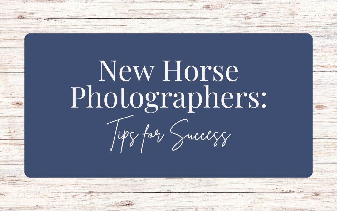 New Horse Photographers: Tips for Success