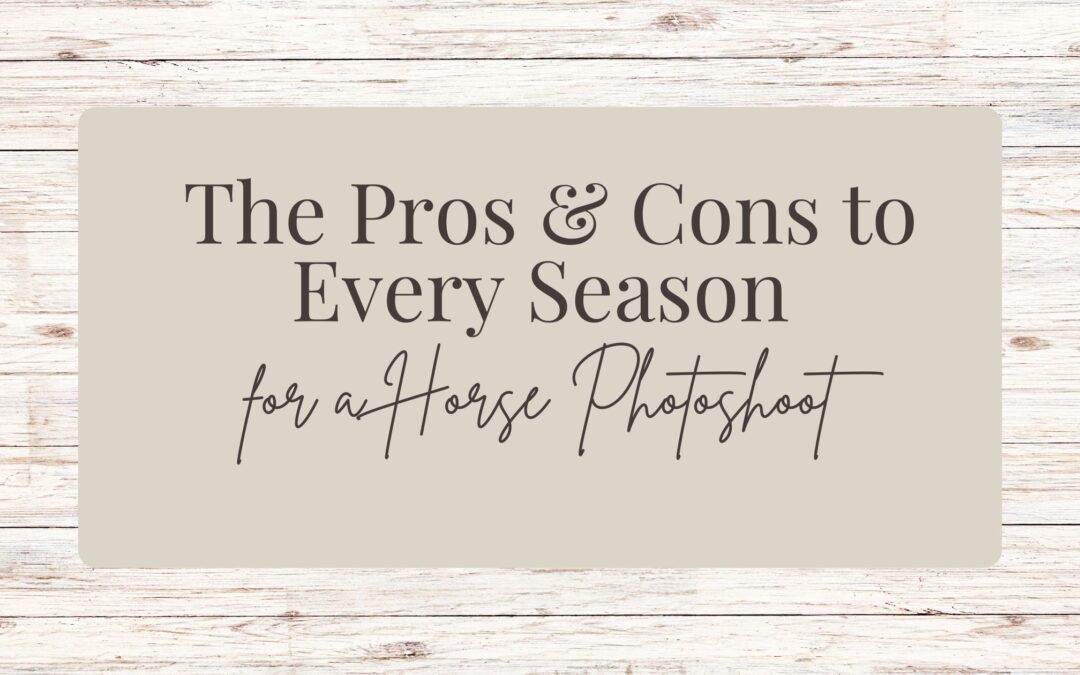 The Pros & Cons to every Season for a Horse Photoshoot