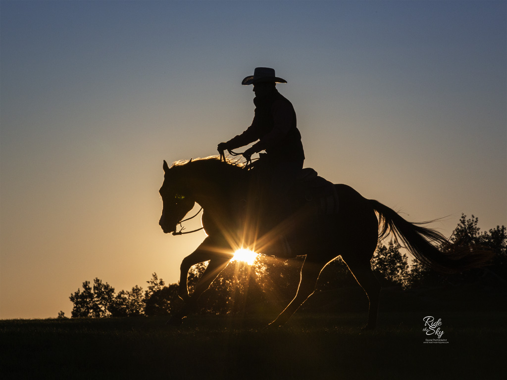 Cowboy and Horse in Silhouette with Sunflare
