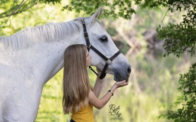 Blog Post Roundup for Chattanooga Horse Owners