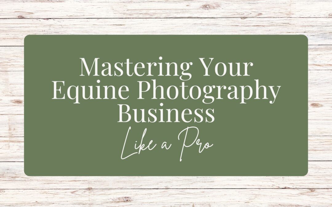 Mastering Your Equine Photography Business Like a Pro