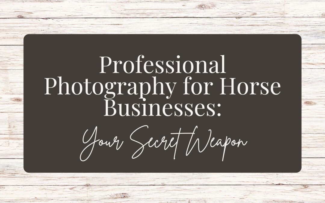 Professional Photography for Horse Businesses: Your Secret Weapon