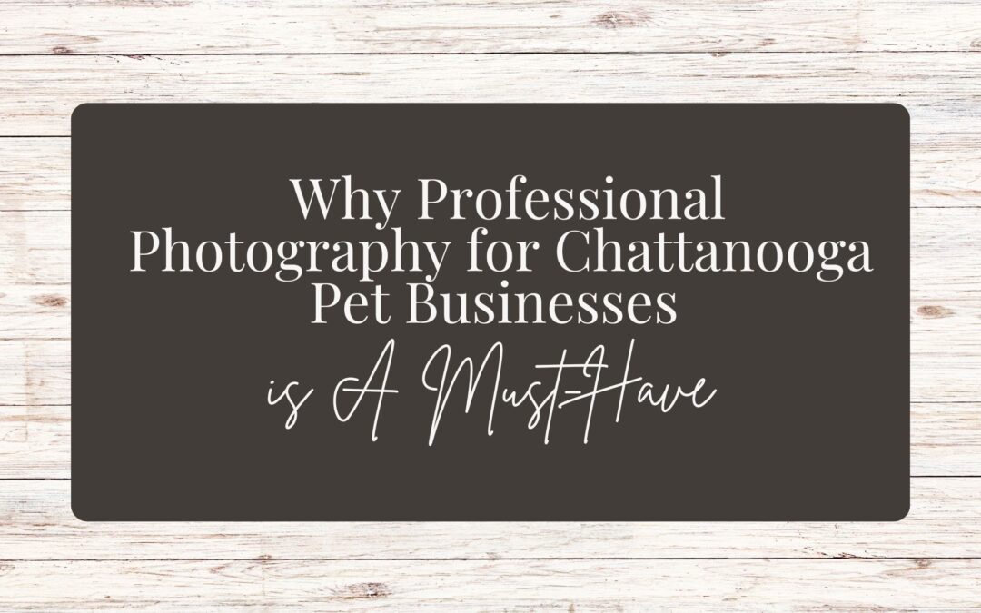 Why Professional Photography for Chattanooga Pet Businesses is A Must-Have