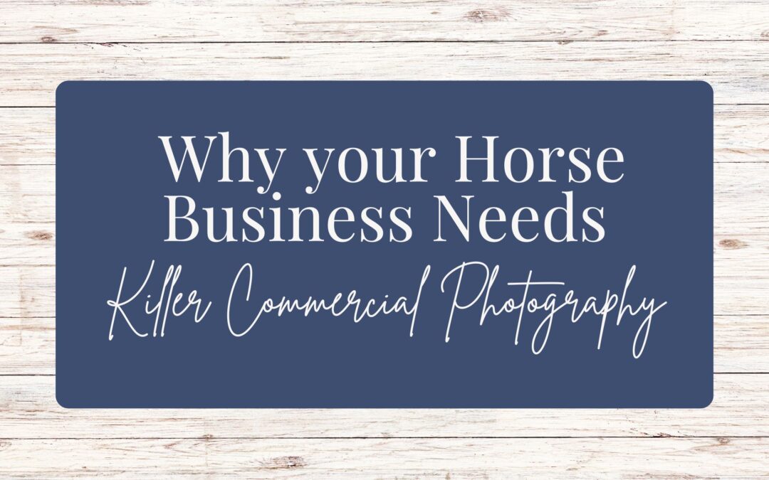 Why Your Horse Business Needs Killer Commercial Photography