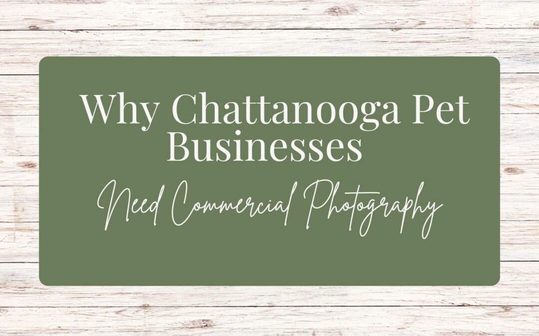 Why Chattanooga Pet Businesses Need Commercial Photography