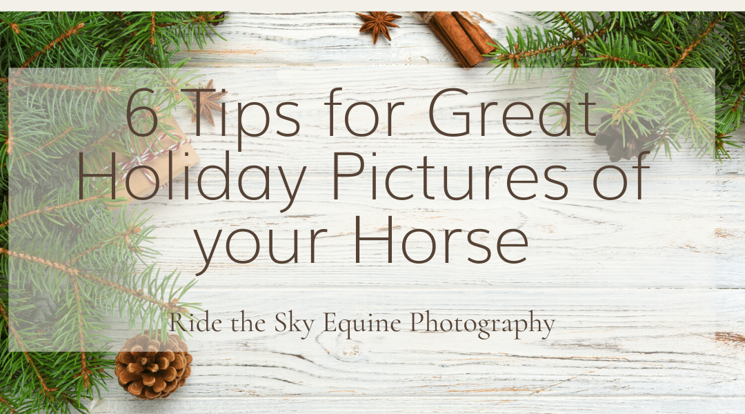 6 Tips for Great Holiday Pictures of your Horse Feature Image