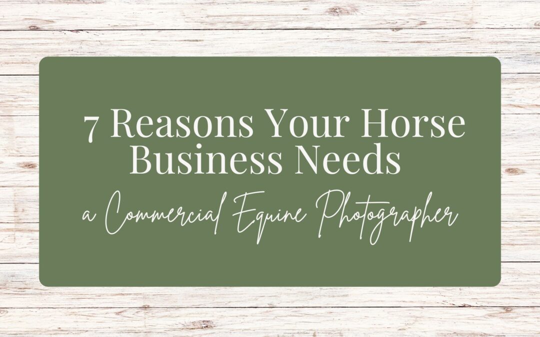 7 Reasons Your Horse Business Needs a Commercial Equine Photographer