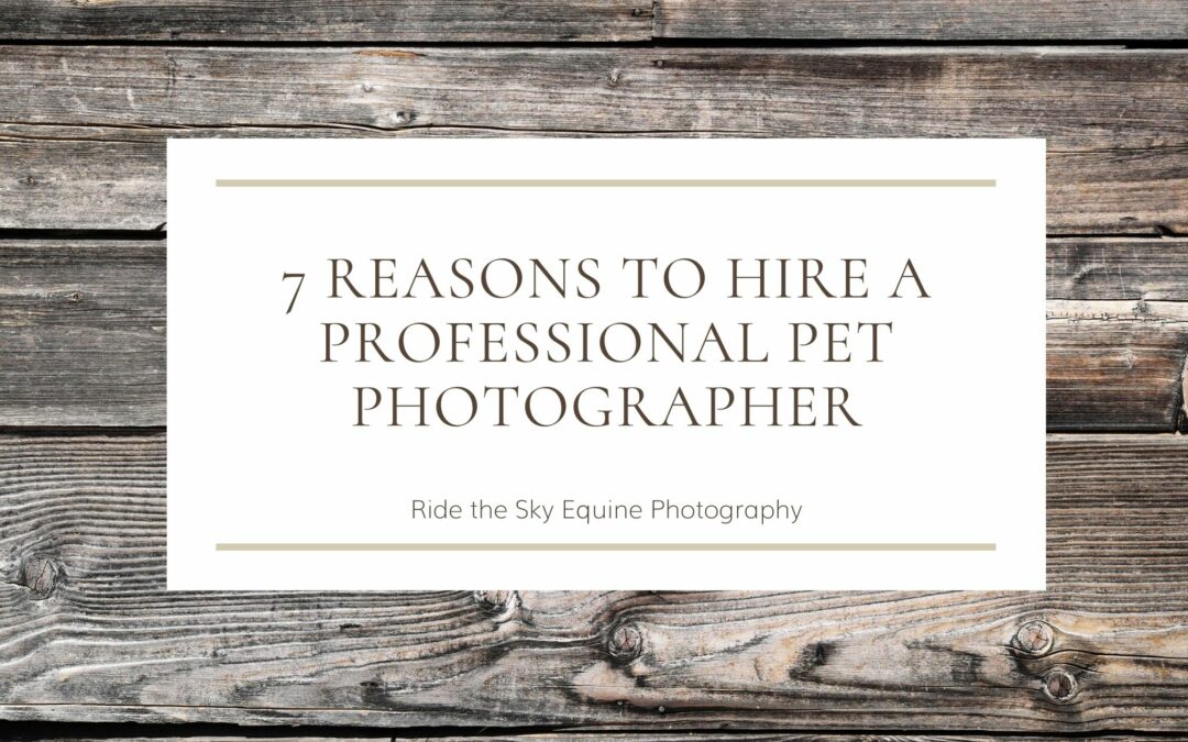 Reasons to hire a professional pet photographer