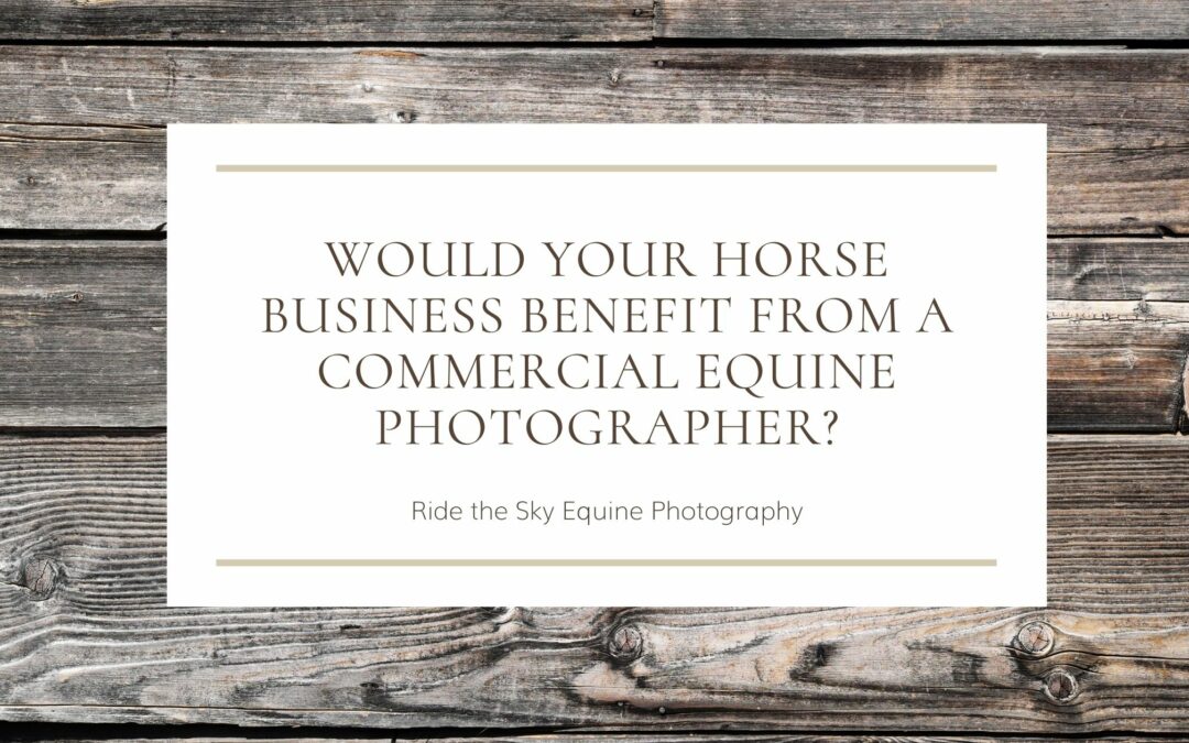 horse business benefit from a commercial equine photographer