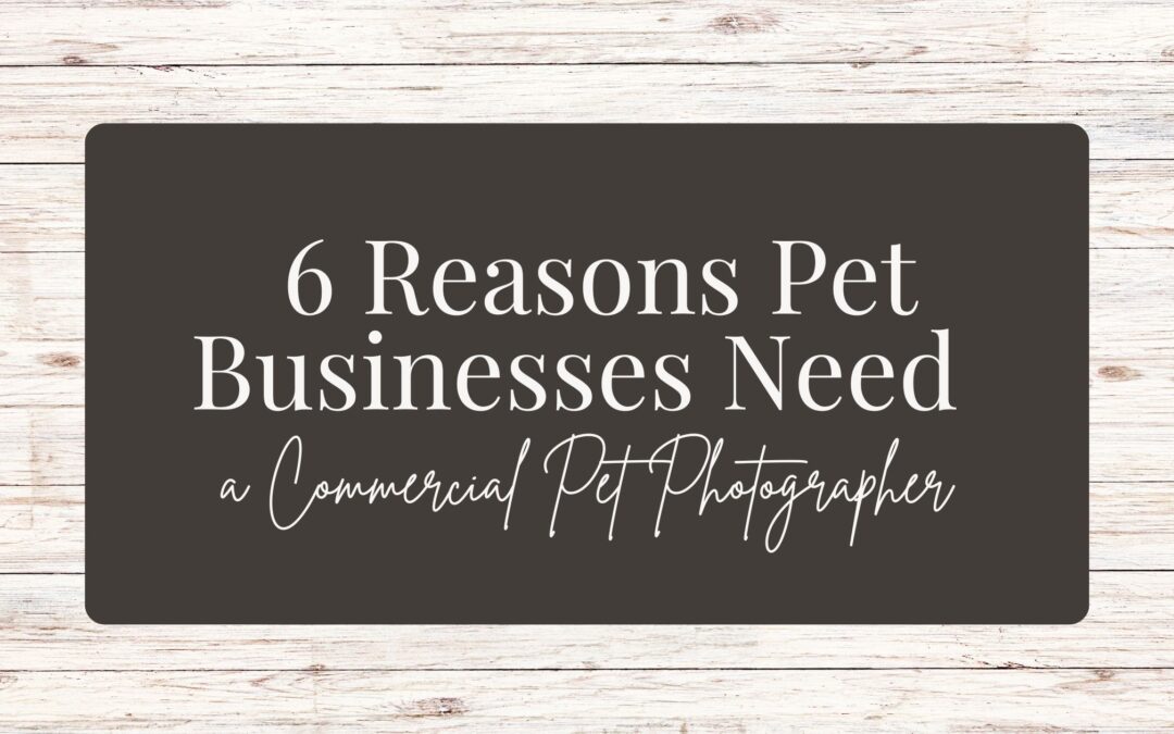 6 Reasons Pet Businesses Need a Commercial Photographer