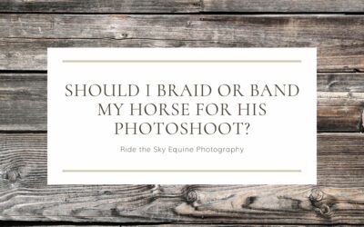 Should I Braid or Brand my Horse for his Photoshoot?