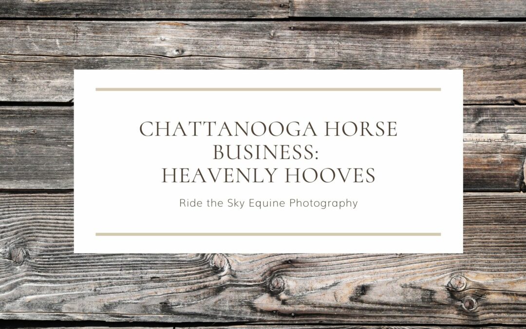 Chattanooga Horse Business: Heavenly Hooves