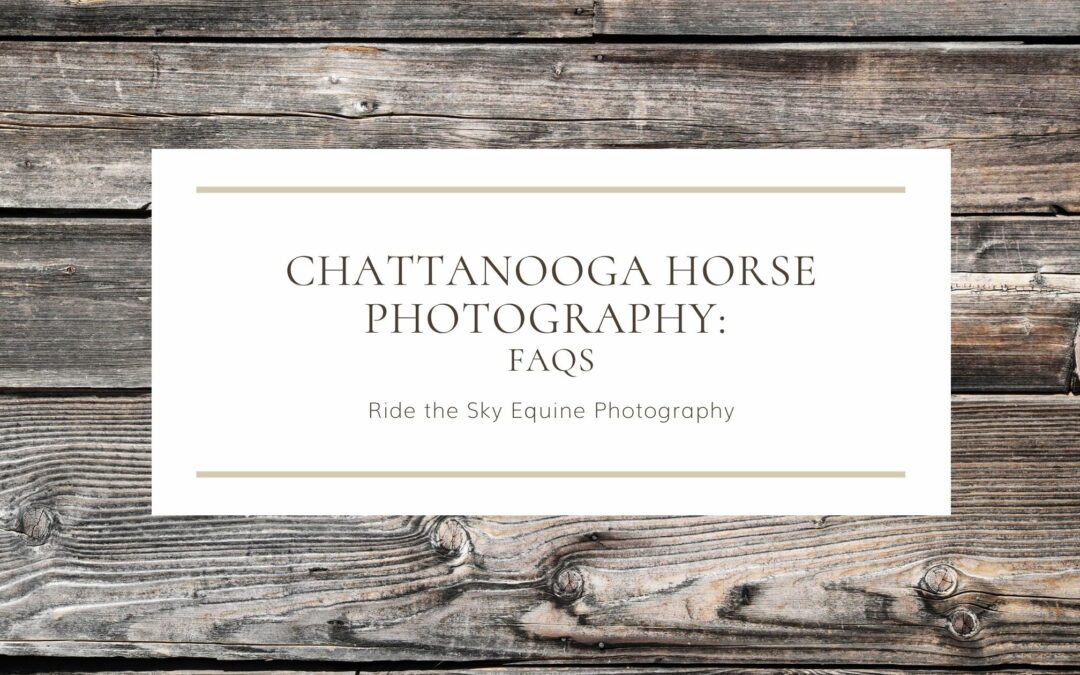 Chattanooga Horse Photography: FAQs
