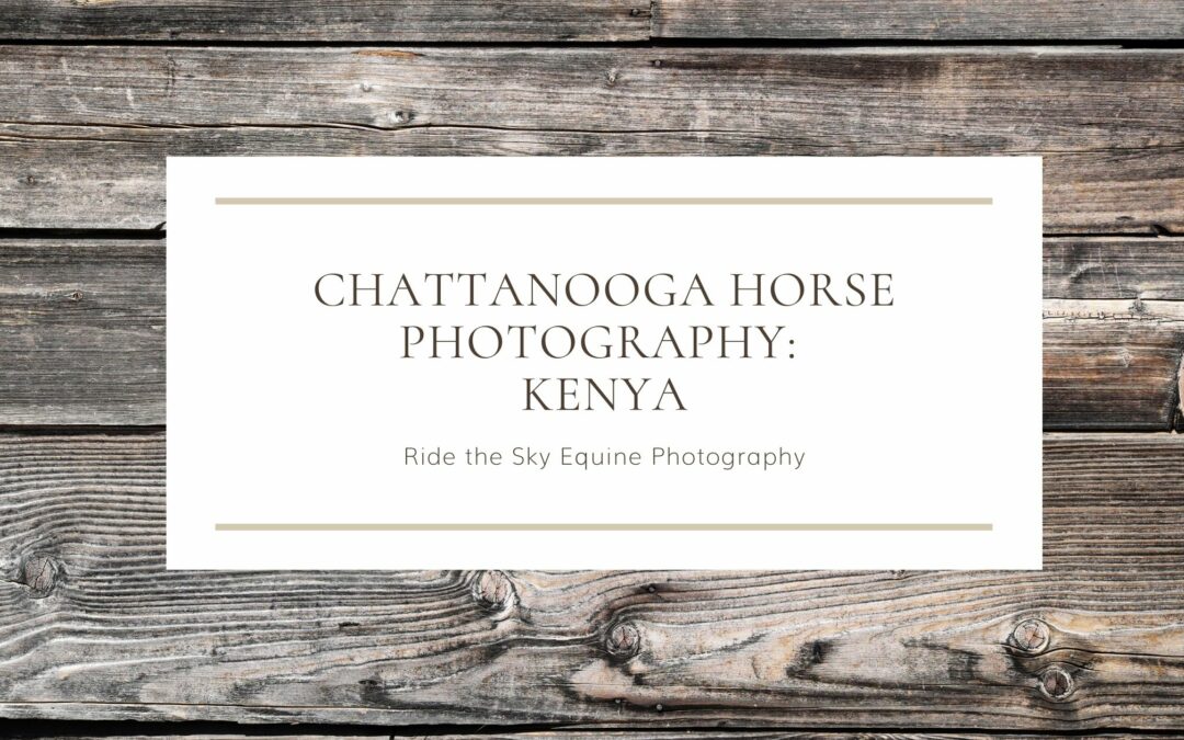 Chattanooga Horse Photography: Dana & Kenya