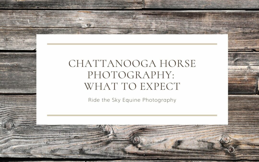 Chattanooga Horse Photography: What to Expect