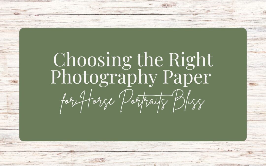 Choosing the Right Photography Paper for Horse Portraits Bliss