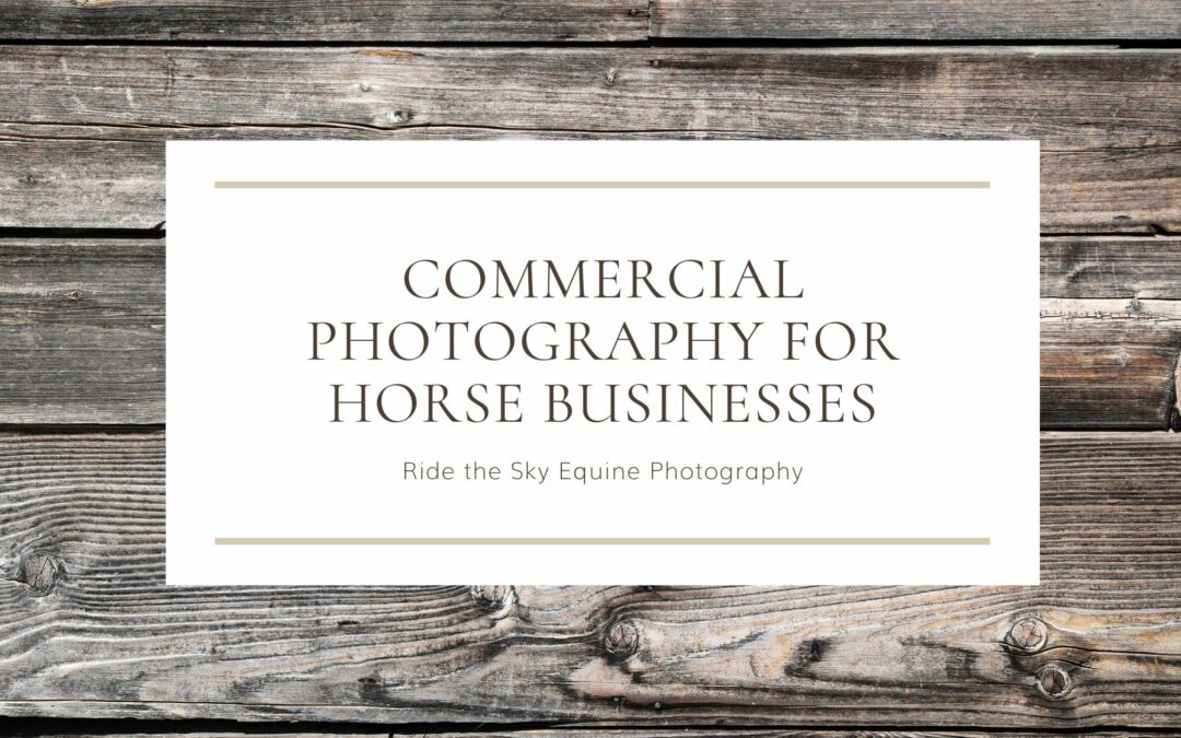 Commercial Photography for Horse Businesses