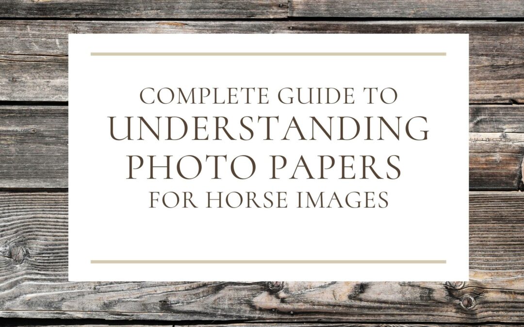 Complete Guide to Understanding Photo Papers for Horse Images