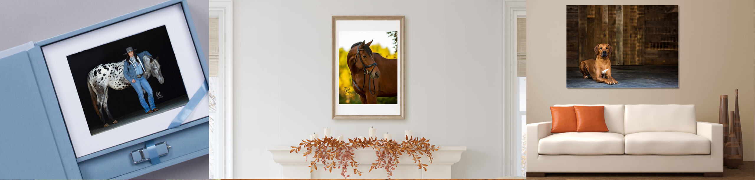 Equine and Pet Photography Products