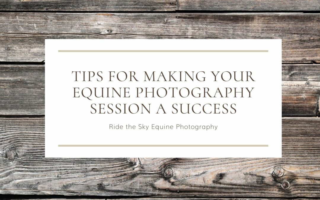 Tips for making your equine photography session a success
